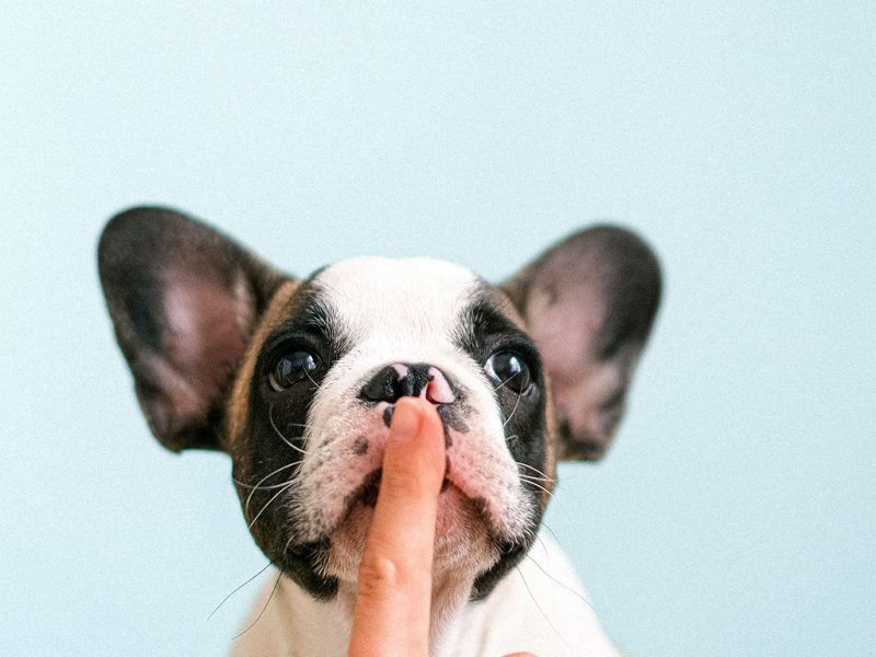 First-Point-of-Contact