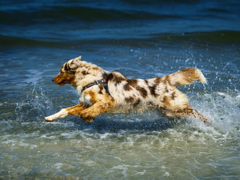 anke-s-fotoshooting-o8bFrrdiUII-unsplash